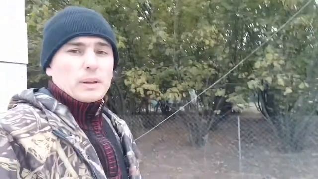 38 день. На проекте дом на продажу с газоблока смотреть онлайн