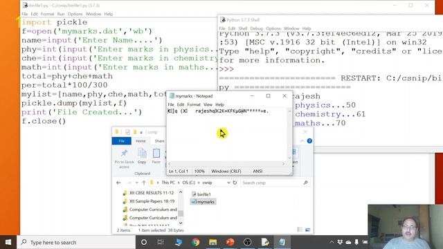 COMPUTER SCIENCE FOR XII - 18 ✔ (Binary File: Writing/ Reading) смотреть онлайн