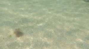 Пляж в Береговом. Феодосия. Крым