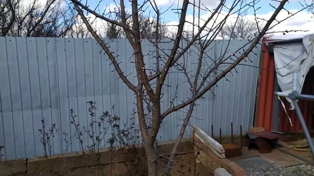 VLOG/ Купила семена/ Порядок на клумбе/ Зацвели цветы смотреть онлайн