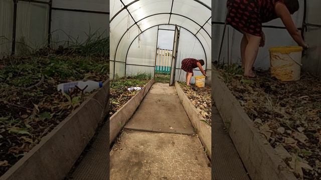 подготовка теплицы к зиме, обработка смотреть онлайн