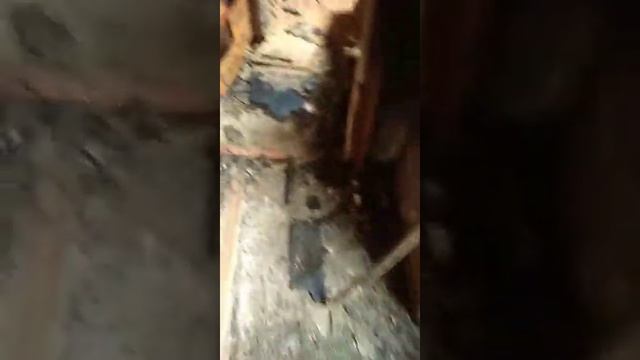 Пожар в доме в Городищенском районе Волгоградской области смотреть онлайн