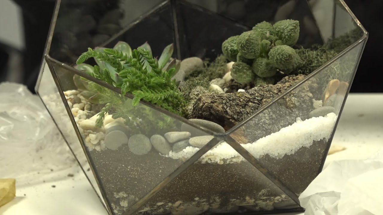 Мастер класс по флорариуму смотреть онлайн