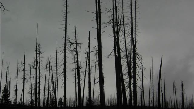 Ваша сдача. Извините, что мелочью смотреть онлайн
