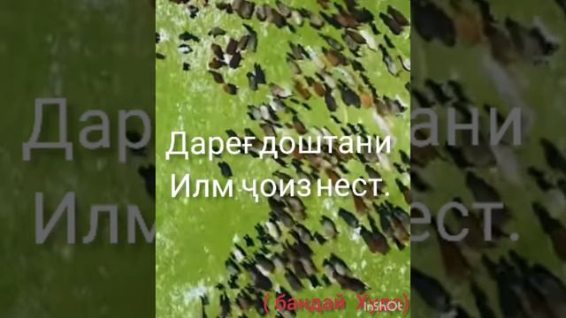Биҳишт зери қудуми модарон аст( бандай худо) смотреть онлайн