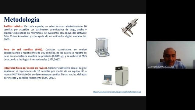 Seed anatomy of ornamental cactaceae of the Chihuahuan desert смотреть онлайн