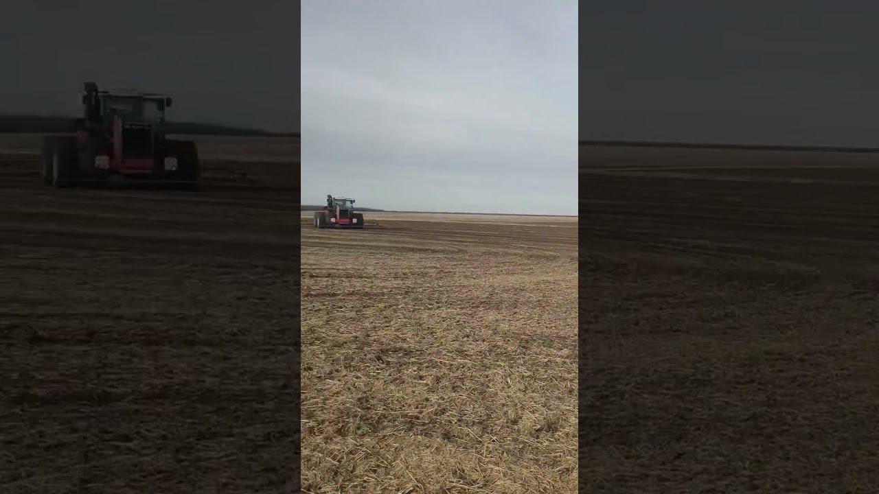 Закрыли влагу 2023 смотреть онлайн