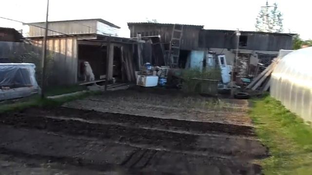 Охота на шершня (часть 1) смотреть онлайн