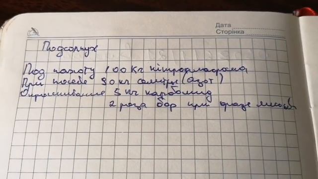 с каким удобрением сеять подсолнух??? мой опыт смотреть онлайн