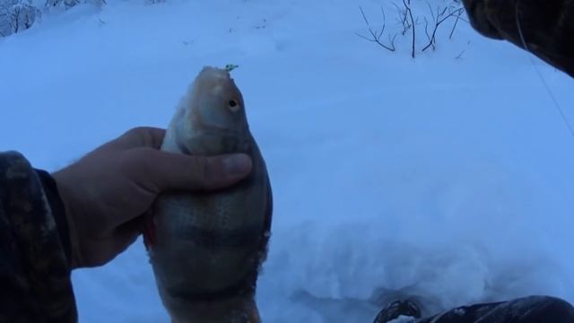 открыли сезон мормышки 2022. Рыбачим в мороз -30. ЧАСТЬ 1. #рыбалка_2022#зимняя_рыбалка смотреть онлайн