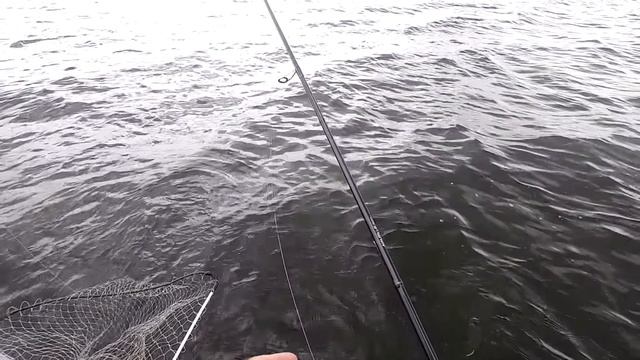 Это ПРОСТО БРАКОНЬЕРСКИЙ ВОБЛЕР!!! Другие Приманки молчат а он КОСИТ ОКУНЯ! смотреть онлайн