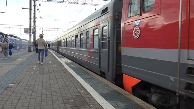 Самые быстрые Поезда России Сапсан Ласточка видео с поездами