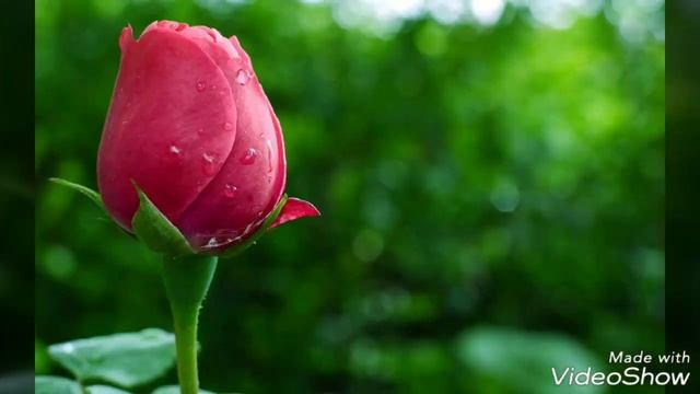 Трек видео для любимой тети смотреть онлайн