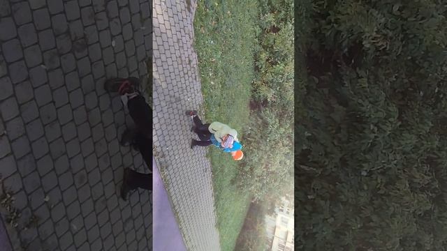 ушатаю ботика в оранжевой шапке смотреть онлайн