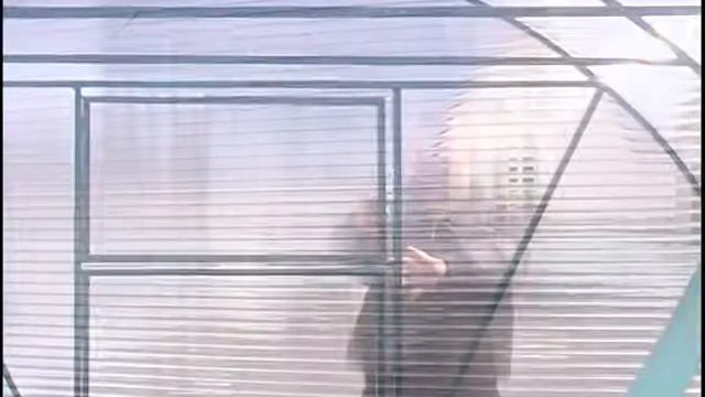 сюжет теплицы 'Корнишон' смотреть онлайн