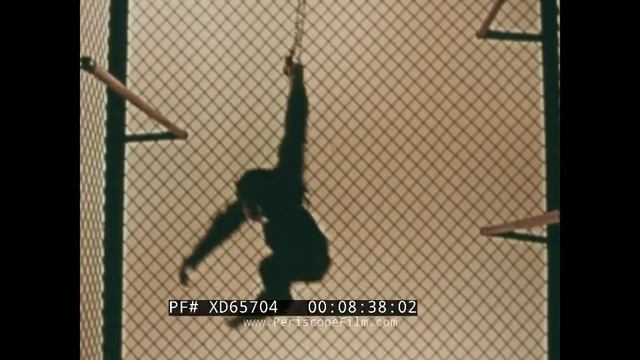 "THE RHYTHM OF LIFE” 1970s SEASONS, TIME, CIRCADIAN RHYTHMS & TIME LAPSE EDUCATIONAL FILM XD6570 смотреть онлайн