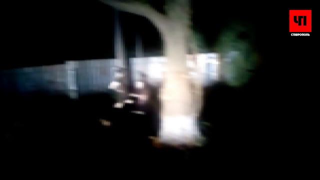 Живодеры из Малой Джалги смотреть онлайн