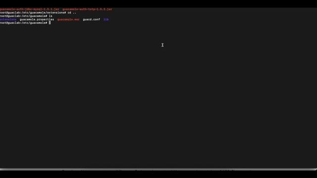 Setup TOTP Authentication for Apache Guacamole смотреть онлайн