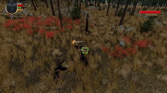 Facing Off With the Lucky Pack! [Lost River DLC] | WolfQuest Wayfinders: Crow's Quest #3 смотреть онлайн