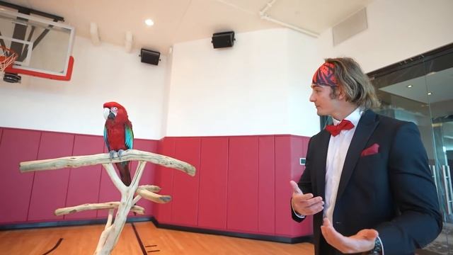 OVERNIGHT Challenge In $250,000 Per Night HOTEL! смотреть онлайн