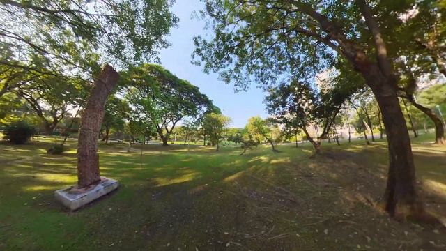 Virtual tours of the 6 ASEAN Sculpture Gardens - Rattana Salee (Thailand) смотреть онлайн