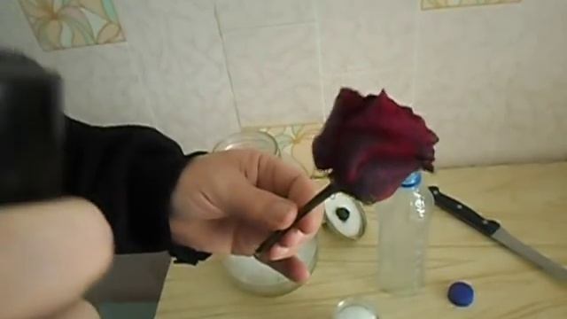 Объемная сушка цветов в вакууме силикагелем 4 смотреть онлайн