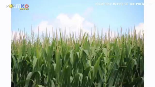 Konti lang! Marcos may import 150,000MT of sugar if need be смотреть онлайн