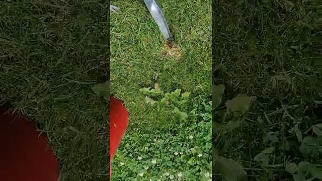 Корнеудалитель для одуванчиков с газона смотреть онлайн