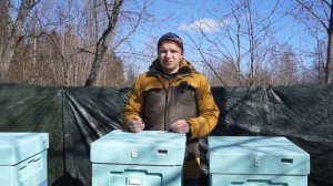 ВАЖНО сохранить пчёл весной.