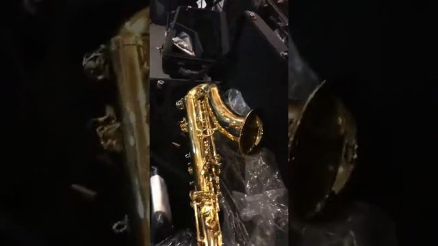 Yanagisawa tenor review смотреть онлайн