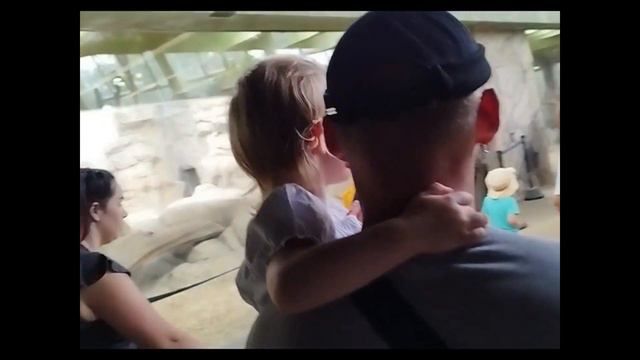 Много животных. Поездка в зоопарк. Часть 2. смотреть онлайн