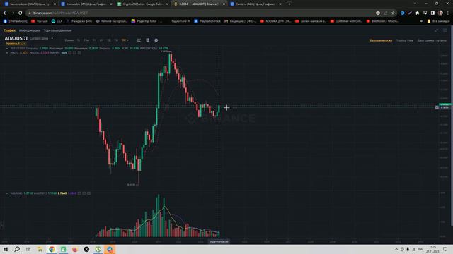 ADA CARDANO 20$ в 2025 году, мой прогноз на цену. Почему ADA будет стоить выше 30$