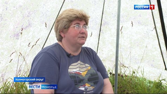 В Холмогорском округе работает экспедиция исследовательского центра имени Вавилова смотреть онлайн