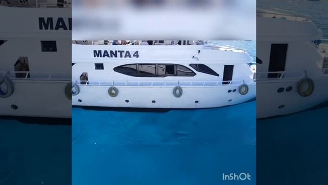 Красное море. Белый остров. смотреть онлайн