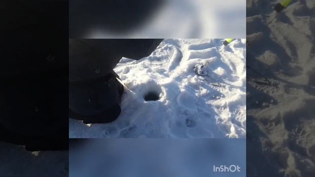 ПЕРВЫЙ ЛЕД 2019-2020.РЕКА ИШИМ . СМОТРЕТЬ ДО КОНЦА .ИТОГ РЫБАЛКИ смотреть онлайн