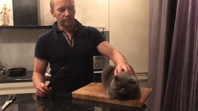 Как приготовить рождественского кота смотреть онлайн