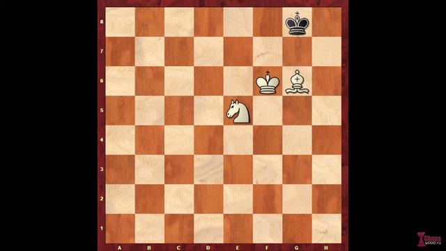 Мат конём и слоном (часть 2). Король в центре доски смотреть онлайн