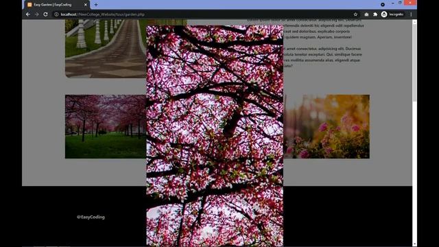 How To Make FINAL YEAR COLLEGE PROJECT Using PHP | Make Website Using HTML5/CSS3/BOOTSTRAP MULTIPAG смотреть онлайн