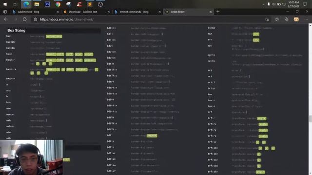 Installing Sublime Text & Emmet смотреть онлайн