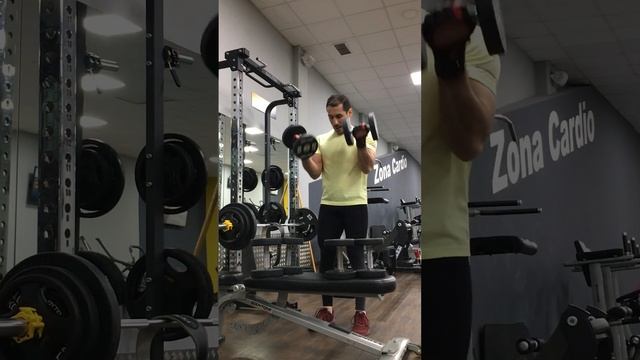 Общий МЦ7 Д4 Подъем гантелей с супинацией стоя, двумя руками одновременно смотреть онлайн