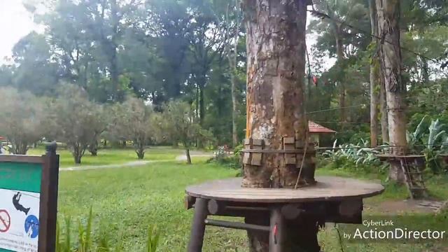 Бали. Ботанический сад в районе Бедугул. Цена, обзор. 13.01.18г смотреть онлайн