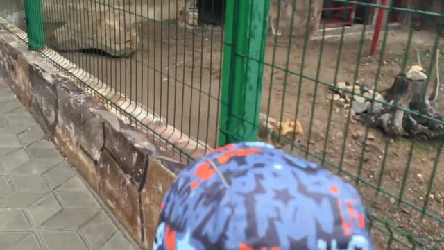 Тебердинский заповедник, март 2016. Макар и Дарья смотреть онлайн