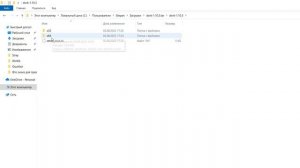 Как исправить ошибку LowLevelFatalError при запуске Stray