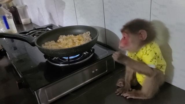 Monkey Sun has a very delicious breakfast with Nam's father's dish in the kitchen смотреть онлайн