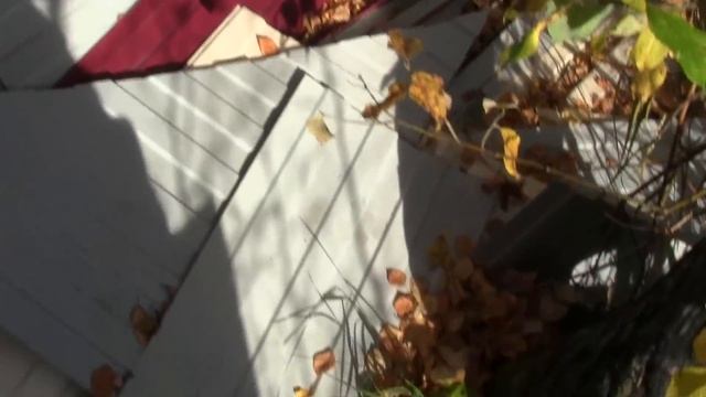 Вывез 960 КГ Металлолома После Одной Недели Простоя смотреть онлайн