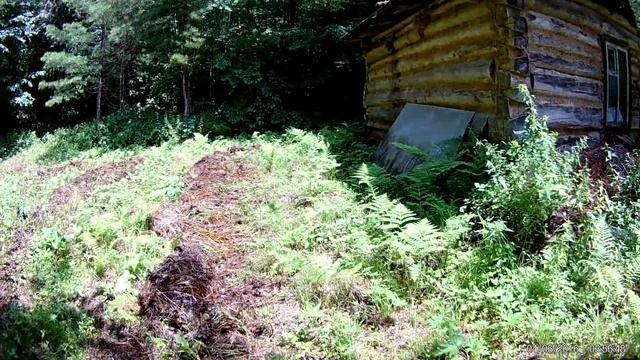 Проделки медведя на зимовье. смотреть онлайн