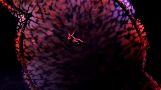 Sergei Polunin // HUBCAP (A Ballet Parody) смотреть онлайн