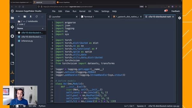 Distributed ML training with PyTorch and Amazon SageMaker - AWS Virtual Workshop смотреть онлайн