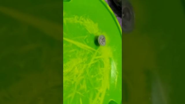 BeybladeBurst смотреть онлайн