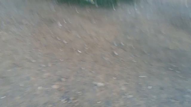 КАШТАН ПІД ПОЇЗДОМ